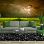 Fotomural tormenta en campo